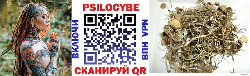 darknet наркотические препараты Полесск Псилоцибиновые грибы Psilocybe